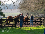 EL230322-1 - Emma Lavelle Stable